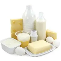 Bakery Dairy Farm